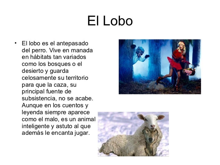 El Valle De Los Lobos Resumen Por Capitulos El Lobo