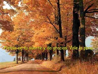 Piensa en tu suerte y da gracias. Vale la pena.