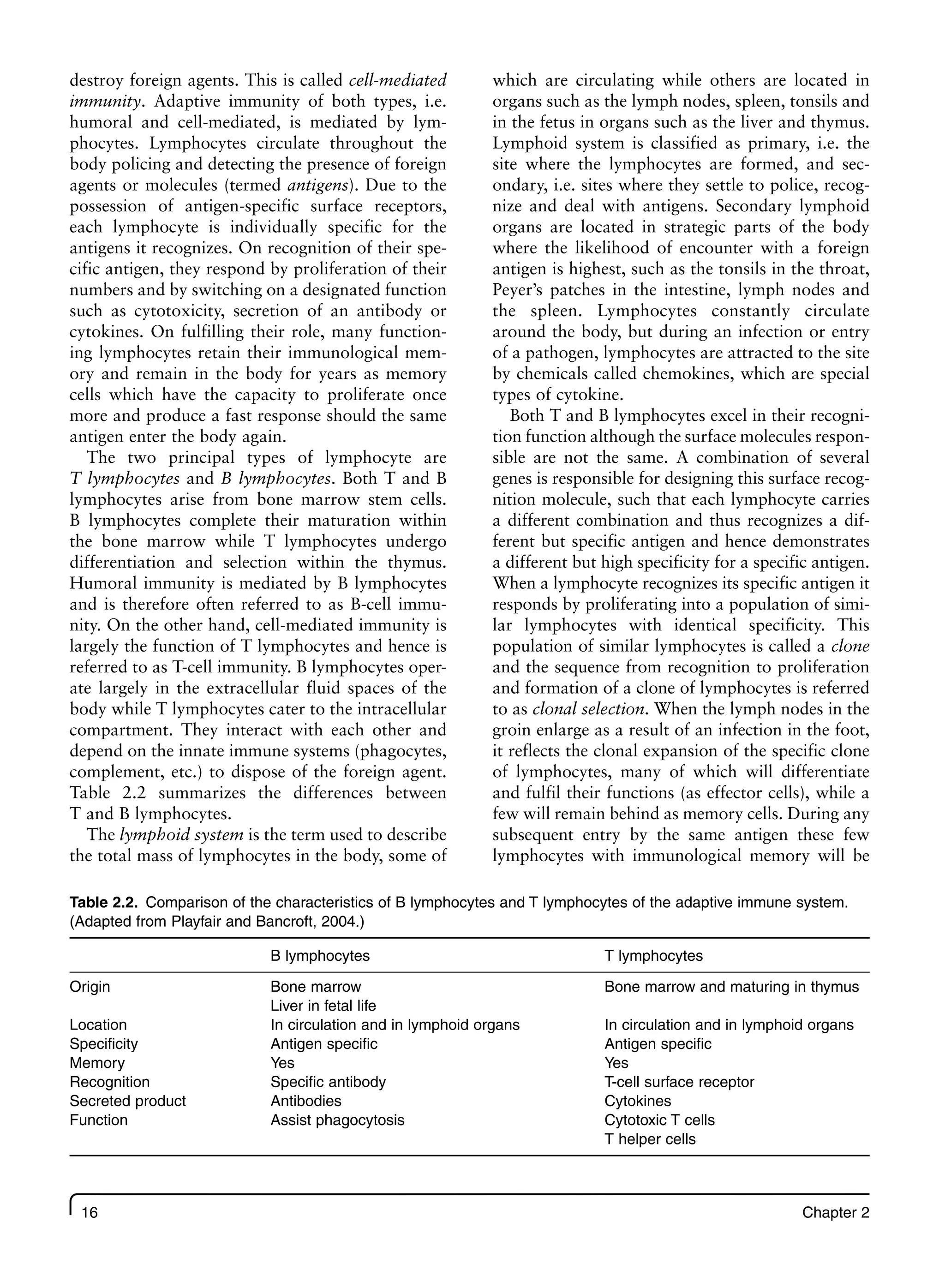 16 Chapter 2
destroy foreign agents. This is called cell-mediated
immunity. Adaptive immunity of both types, i.e.
humoral and cell-mediated, is mediated by lym-
phocytes. Lymphocytes circulate throughout the
body policing and detecting the presence of foreign
agents or molecules (termed antigens). Due to the
possession of antigen-specific surface receptors,
each lymphocyte is individually specific for the
antigens it recognizes. On recognition of their spe-
cific antigen, they respond by proliferation of their
numbers and by switching on a designated function
such as cytotoxicity, secretion of an antibody or
cytokines. On fulfilling their role, many function-
ing lymphocytes retain their immunological mem-
ory and remain in the body for years as memory
cells which have the capacity to proliferate once
more and produce a fast response should the same
antigen enter the body again.
The two principal types of lymphocyte are
T lymphocytes and B lymphocytes. Both T and B
lymphocytes arise from bone marrow stem cells.
B lymphocytes complete their maturation within
the bone marrow while T lymphocytes undergo
differentiation and selection within the thymus.
Humoral immunity is mediated by B lymphocytes
and is therefore often referred to as B-cell immu-
nity. On the other hand, cell-mediated immunity is
largely the function of T lymphocytes and hence is
referred to as T-cell immunity. B lymphocytes oper-
ate largely in the extracellular fluid spaces of the
body while T lymphocytes cater to the intracellular
compartment. They interact with each other and
depend on the innate immune systems (phagocytes,
complement, etc.) to dispose of the foreign agent.
Table 2.2 summarizes the differences between
T and B lymphocytes.
The lymphoid system is the term used to describe
the total mass of lymphocytes in the body, some of
which are circulating while others are located in
organs such as the lymph nodes, spleen, tonsils and
in the fetus in organs such as the liver and thymus.
Lymphoid system is classified as primary, i.e. the
site where the lymphocytes are formed, and sec-
ondary, i.e. sites where they settle to police, recog-
nize and deal with antigens. Secondary lymphoid
organs are located in strategic parts of the body
where the likelihood of encounter with a foreign
antigen is highest, such as the tonsils in the throat,
Peyer’s patches in the intestine, lymph nodes and
the spleen. Lymphocytes constantly circulate
around the body, but during an infection or entry
of a pathogen, lymphocytes are attracted to the site
by chemicals called chemokines, which are special
types of cytokine.
Both T and B lymphocytes excel in their recogni-
tion function although the surface molecules respon-
sible are not the same. A combination of several
genes is responsible for designing this surface recog-
nition molecule, such that each lymphocyte carries
a different combination and thus recognizes a dif-
ferent but specific antigen and hence demonstrates
a different but high specificity for a specific antigen.
When a lymphocyte recognizes its specific antigen it
responds by proliferating into a population of simi-
lar lymphocytes with identical specificity. This
population of similar lymphocytes is called a clone
and the sequence from recognition to proliferation
and formation of a clone of lymphocytes is referred
to as clonal selection. When the lymph nodes in the
groin enlarge as a result of an infection in the foot,
it reflects the clonal expansion of the specific clone
of lymphocytes, many of which will differentiate
and fulfil their functions (as effector cells), while a
few will remain behind as memory cells. During any
subsequent entry by the same antigen these few
lymphocytes with immunological memory will be
Table 2.2. Comparison of the characteristics of B lymphocytes and T lymphocytes of the adaptive immune system.
(Adapted from Playfair and Bancroft, 2004.)
B lymphocytes T lymphocytes
Origin Bone marrow Bone marrow and maturing in thymus
Liver in fetal life
Location In circulation and in lymphoid organs In circulation and in lymphoid organs
Specificity Antigen specific Antigen specific
Memory Yes Yes
Recognition Specific antibody T-cell surface receptor
Secreted product Antibodies Cytokines
Function Assist phagocytosis Cytotoxic T cells
T helper cells
 