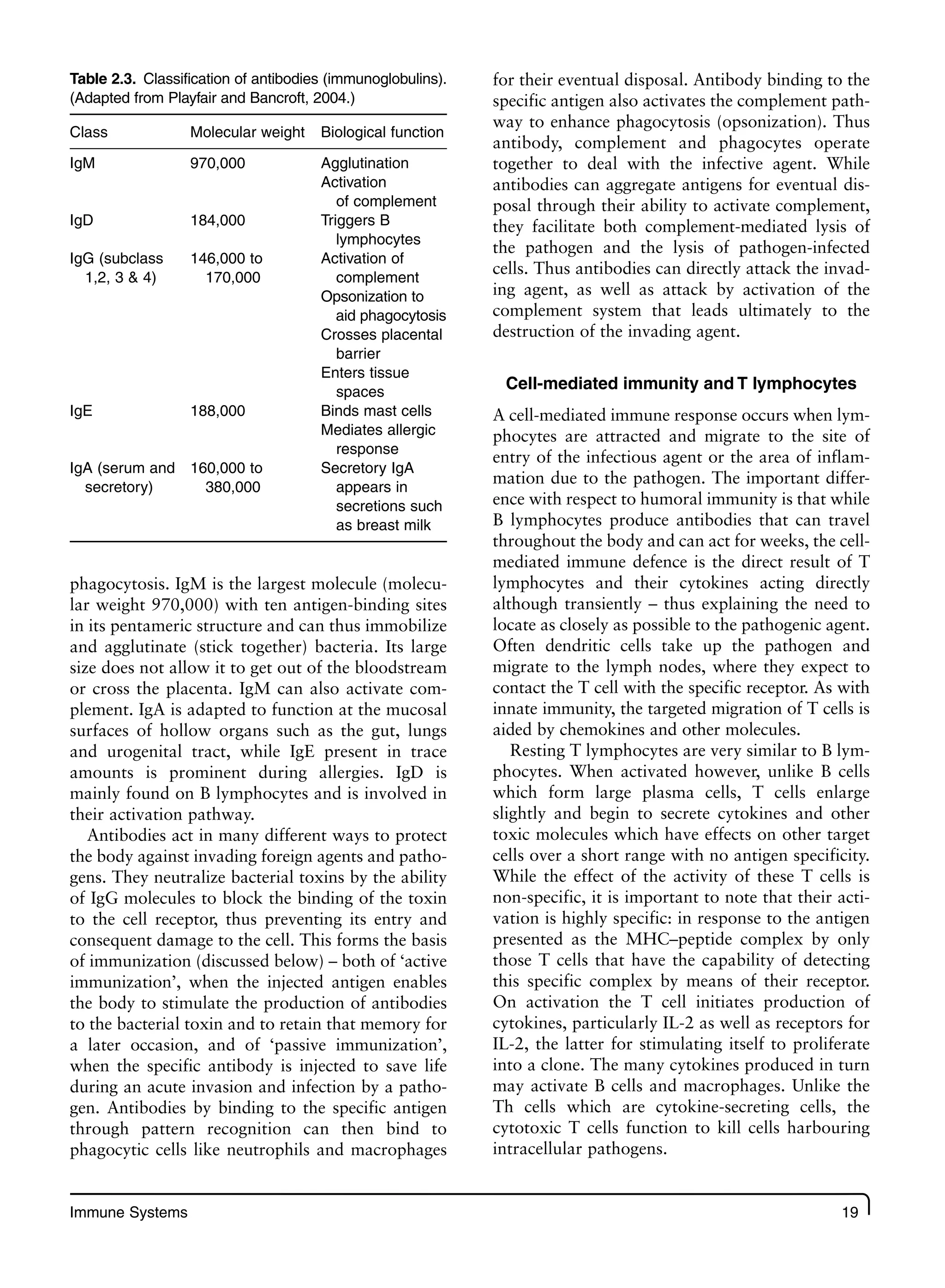 Immune Systems 19
Table 2.3. Classification of antibodies (immunoglobulins).
(Adapted from Playfair and Bancroft, 2004.)
Class Molecular weight Biological function
IgM 970,000 Agglutination
Activation
of complement
IgD 184,000 Triggers B
lymphocytes
IgG (subclass
1,2, 3 & 4)
146,000 to
170,000
Activation of
complement
Opsonization to
aid phagocytosis
Crosses placental
barrier
Enters tissue
spaces
IgE 188,000 Binds mast cells
Mediates allergic
response
IgA (serum and
secretory)
160,000 to
380,000
Secretory IgA
appears in
secretions such
as breast milk
phagocytosis. IgM is the largest molecule (molecu-
lar weight 970,000) with ten antigen-binding sites
in its pentameric structure and can thus immobilize
and agglutinate (stick together) bacteria. Its large
size does not allow it to get out of the bloodstream
or cross the placenta. IgM can also activate com-
plement. IgA is adapted to function at the mucosal
surfaces of hollow organs such as the gut, lungs
and urogenital tract, while IgE present in trace
amounts is prominent during allergies. IgD is
mainly found on B lymphocytes and is involved in
their activation pathway.
Antibodies act in many different ways to protect
the body against invading foreign agents and patho-
gens. They neutralize bacterial toxins by the ability
of IgG molecules to block the binding of the toxin
to the cell receptor, thus preventing its entry and
consequent damage to the cell. This forms the basis
of immunization (discussed below) – both of ‘active
immunization’, when the injected antigen enables
the body to stimulate the production of antibodies
to the bacterial toxin and to retain that memory for
a later occasion, and of ‘passive immunization’,
when the specific antibody is injected to save life
during an acute invasion and infection by a patho-
gen. Antibodies by binding to the specific antigen
through pattern recognition can then bind to
phagocytic cells like neutrophils and macrophages
for their eventual disposal. Antibody binding to the
specific antigen also activates the complement path-
way to enhance phagocytosis (opsonization). Thus
antibody, complement and phagocytes operate
together to deal with the infective agent. While
antibodies can aggregate antigens for eventual dis-
posal through their ability to activate complement,
they facilitate both complement-mediated lysis of
the pathogen and the lysis of pathogen-infected
cells. Thus antibodies can directly attack the invad-
ing agent, as well as attack by activation of the
complement system that leads ultimately to the
destruction of the invading agent.
Cell-mediated immunity and T lymphocytes
A cell-mediated immune response occurs when lym-
phocytes are attracted and migrate to the site of
entry of the infectious agent or the area of inflam-
mation due to the pathogen. The important differ-
ence with respect to humoral immunity is that while
B lymphocytes produce antibodies that can travel
throughout the body and can act for weeks, the cell-
mediated immune defence is the direct result of T
lymphocytes and their cytokines acting directly
although transiently – thus explaining the need to
locate as closely as possible to the pathogenic agent.
Often dendritic cells take up the pathogen and
migrate to the lymph nodes, where they expect to
contact the T cell with the specific receptor. As with
innate immunity, the targeted migration of T cells is
aided by chemokines and other molecules.
Resting T lymphocytes are very similar to B lym-
phocytes. When activated however, unlike B cells
which form large plasma cells, T cells enlarge
slightly and begin to secrete cytokines and other
toxic molecules which have effects on other target
cells over a short range with no antigen specificity.
While the effect of the activity of these T cells is
non-specific, it is important to note that their acti-
vation is highly specific: in response to the antigen
presented as the MHC–peptide complex by only
those T cells that have the capability of detecting
this specific complex by means of their receptor.
On activation the T cell initiates production of
cytokines, particularly IL-2 as well as receptors for
IL-2, the latter for stimulating itself to proliferate
into a clone. The many cytokines produced in turn
may activate B cells and macrophages. Unlike the
Th cells which are cytokine-secreting cells, the
cytotoxic T cells function to kill cells harbouring
intracellular pathogens.
 