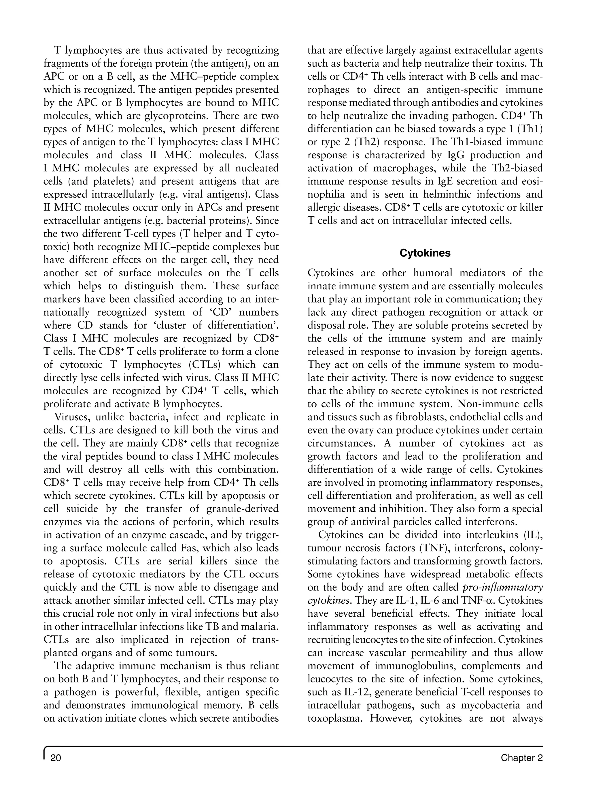 20 Chapter 2
T lymphocytes are thus activated by recognizing
fragments of the foreign protein (the antigen), on an
APC or on a B cell, as the MHC–peptide complex
which is recognized. The antigen peptides presented
by the APC or B lymphocytes are bound to MHC
molecules, which are glycoproteins. There are two
types of MHC molecules, which present different
types of antigen to the T lymphocytes: class I MHC
molecules and class II MHC molecules. Class
I MHC molecules are expressed by all nucleated
cells (and platelets) and present antigens that are
expressed intracellularly (e.g. viral antigens). Class
II MHC molecules occur only in APCs and present
extracellular antigens (e.g. bacterial proteins). Since
the two different T-cell types (T helper and T cyto-
toxic) both recognize MHC–peptide complexes but
have different effects on the target cell, they need
another set of surface molecules on the T cells
which helps to distinguish them. These surface
markers have been classified according to an inter-
nationally recognized system of ‘CD’ numbers
where CD stands for ‘cluster of differentiation’.
Class I MHC molecules are recognized by CD8+
T cells. The CD8+
T cells proliferate to form a clone
of cytotoxic T lymphocytes (CTLs) which can
directly lyse cells infected with virus. Class II MHC
molecules are recognized by CD4+
T cells, which
proliferate and activate B lymphocytes.
Viruses, unlike bacteria, infect and replicate in
cells. CTLs are designed to kill both the virus and
the cell. They are mainly CD8+
cells that recognize
the viral peptides bound to class I MHC molecules
and will destroy all cells with this combination.
CD8+
T cells may receive help from CD4+
Th cells
which secrete cytokines. CTLs kill by apoptosis or
cell suicide by the transfer of granule-derived
enzymes via the actions of perforin, which results
in activation of an enzyme cascade, and by trigger-
ing a surface molecule called Fas, which also leads
to apoptosis. CTLs are serial killers since the
release of cytotoxic mediators by the CTL occurs
quickly and the CTL is now able to disengage and
attack another similar infected cell. CTLs may play
this crucial role not only in viral infections but also
in other intracellular infections like TB and malaria.
CTLs are also implicated in rejection of trans-
planted organs and of some tumours.
The adaptive immune mechanism is thus reliant
on both B and T lymphocytes, and their response to
a pathogen is powerful, flexible, antigen specific
and demonstrates immunological memory. B cells
on activation initiate clones which secrete antibodies
that are effective largely against extracellular agents
such as bacteria and help neutralize their toxins. Th
cells or CD4+
Th cells interact with B cells and mac-
rophages to direct an antigen-specific immune
response mediated through antibodies and cytokines
to help neutralize the invading pathogen. CD4+
Th
differentiation can be biased towards a type 1 (Th1)
or type 2 (Th2) response. The Th1-biased immune
response is characterized by IgG production and
activation of macrophages, while the Th2-biased
immune response results in IgE secretion and eosi-
nophilia and is seen in helminthic infections and
allergic diseases. CD8+
T cells are cytotoxic or killer
T cells and act on intracellular infected cells.
Cytokines
Cytokines are other humoral mediators of the
innate immune system and are essentially molecules
that play an important role in communication; they
lack any direct pathogen recognition or attack or
disposal role. They are soluble proteins secreted by
the cells of the immune system and are mainly
released in response to invasion by foreign agents.
They act on cells of the immune system to modu-
late their activity. There is now evidence to suggest
that the ability to secrete cytokines is not restricted
to cells of the immune system. Non-immune cells
and tissues such as fibroblasts, endothelial cells and
even the ovary can produce cytokines under certain
circumstances. A number of cytokines act as
growth factors and lead to the proliferation and
differentiation of a wide range of cells. Cytokines
are involved in promoting inflammatory responses,
cell differentiation and proliferation, as well as cell
movement and inhibition. They also form a special
group of antiviral particles called interferons.
Cytokines can be divided into interleukins (IL),
tumour necrosis factors (TNF), interferons, colony-
stimulating factors and transforming growth factors.
Some cytokines have widespread metabolic effects
on the body and are often called pro-inflammatory
cytokines. They are IL-1, IL-6 and TNF-a. Cytokines
have several beneficial effects. They initiate local
inflammatory responses as well as activating and
recruiting leucocytes to the site of infection. Cytokines
can increase vascular permeability and thus allow
movement of immunoglobulins, complements and
leucocytes to the site of infection. Some cytokines,
such as IL-12, generate beneficial T-cell responses to
intracellular pathogens, such as mycobacteria and
toxoplasma. However, cytokines are not always
 