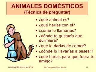 ANIMALES DOMÉSTICOS (Técnica de preguntar) ¿qué animal es? ¿qué harías con el? ¿cómo le llamarías? ¿dónde te gustaría que durmiera? ¿qué le darías de comer? ¿dónde lo llevarías a pasear? ¿qué harías para que fuera tu amigo? PEDAGOGÍA DE 0 A 6 AÑOSl Mª Concepción Oliva Alcalá 
