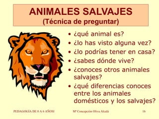 ¿qué animal es? ¿lo has visto alguna vez? ¿lo podrías tener en casa? ¿sabes dónde vive? ¿conoces otros animales salvajes? ¿qué diferencias conoces entre los animales domésticos y los salvajes? ANIMALES SALVAJES (Técnica de preguntar) PEDAGOGÍA DE 0 A 6 AÑOSl Mª Concepción Oliva Alcalá 