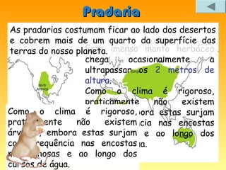 Pradaria
As pradarias costumam ficar ao lado dos desertos
e cobrem mais de um quarto da superfície das
terras do nosso planeta. imenso manto herbáceo
                  Este
                  chega      ocasionalmente    a
                  ultrapassar os 2 metros de
                  altura.
                  Como o clima é rigoroso,
                  praticamente     não   existem
Como o clima árvores, embora estas surjam
                   é rigoroso,
praticamente    não
                  com existem
                        frequência nas encostas
árvores, embora estas surjam e ao longo dos
                  montanhosas
com frequência nas encostas
                  cursos de água.
montanhosas e ao longo dos
cursos de água.
 