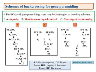 119. Gene Pyramiding A Strategy for Durable Crop Protection in ...