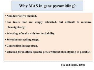 119. Gene Pyramiding A Strategy for Durable Crop Protection in ...
