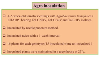 Puncture Inoculation 119. Gene Pyramiding A Strategy for Durable Crop Protection in ...