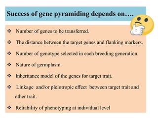 119. Gene Pyramiding A Strategy for Durable Crop Protection in ...
