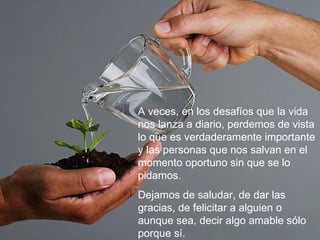 A veces, en los desafíos que la vida nos lanza a diario, perdemos de vista lo que es verdaderamente importante y las personas que nos salvan en el momento oportuno sin que se lo pidamos. Dejamos de saludar, de dar las gracias, de felicitar a alguien o aunque sea, decir algo amable sólo porque sí. 