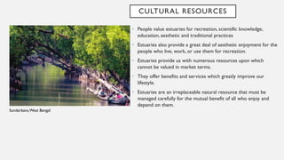 CULTURAL RESOURCES
• People value estuaries for recreation, scientific knowledge,
education, aesthetic and traditional practices
• Estuaries also provide a great deal of aesthetic enjoyment for the
people who live, work, or use them for recreation.
• Estuaries provide us with numerous resources upon which
cannot be valued in market terms.
• They offer benefits and services which greatly improve our
lifestyle.
• Estuaries are an irreplaceable natural resource that must be
managed carefully for the mutual benefit of all who enjoy and
depend on them.
Sundarbans,West Bengal
 