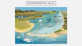 ENVIRONMENTAL VALUE
 