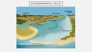 ENVIRONMENTAL VALUE
 