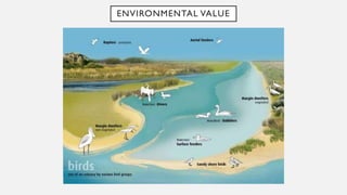 ENVIRONMENTAL VALUE
 