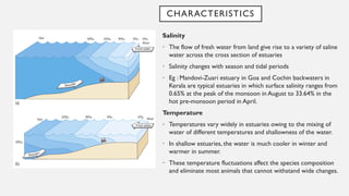 CHARACTERISTICS
Salinity
• The flow of fresh water from land give rise to a variety of saline
water across the cross section of estuaries
• Salinity changes with season and tidal periods
• Eg : Mandovi-Zuari estuary in Goa and Cochin backwaters in
Kerala are typical estuaries in which surface salinity ranges from
0.65% at the peak of the monsoon in August to 33.64% in the
hot pre-monsoon period in April.
Temperature
• Temperatures vary widely in estuaries owing to the mixing of
water of different temperatures and shallowness of the water.
• In shallow estuaries, the water is much cooler in winter and
warmer in summer.
• These temperature fluctuations affect the species composition
and eliminate most animals that cannot withstand wide changes.
 