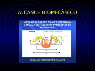 ALCANCE BIOMECÂNICO
(GRANDJEAN,(GRANDJEAN, -- 1983)1983)
ALCANCE ÓTIMOALCANCE ÓTIMO ÁREA ÓTIMA PARA TRABALHO COM AS DUAS MÃOSÁREA ÓTIMA PARA TRABALHO COM AS DUAS MÃOS
ALCANCE MÁXIMOALCANCE MÁXIMO
50 cm50 cm
5555--65653535--4545
2525
100100
160160
ÁREA DE ALCANCES ÓTIMO E MÁXIMO NA
BANCADA DE TRABALHO- PANELEIRAS DE
GOIABEIRAS.
MEDIDAS ANTROPOMÉTRICAS DINÂMICAS
 