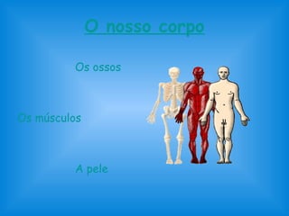 O nosso corpo
Os ossos
Os músculos
A pele
 