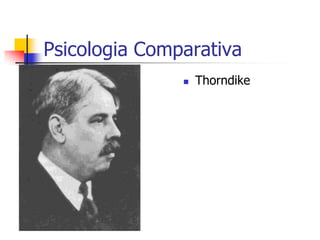 Psicologia Comparativa


Thorndike

 