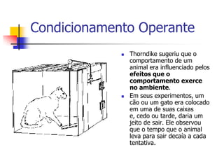 Condicionamento Operante




Thorndike sugeriu que o
comportamento de um
animal era influenciado pelos
efeitos que o
comportamento exerce
no ambiente.
Em seus experimentos, um
cão ou um gato era colocado
em uma de suas caixas
e, cedo ou tarde, daria um
jeito de sair. Ele observou
que o tempo que o animal
leva para sair decaía a cada
tentativa.

 