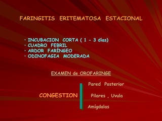 FARINGITIS ERITEMATOSA ESTACIONAL
• INCUBACION CORTA ( 1 - 3 días)
• CUADRO FEBRIL
• ARDOR FARÍNGEO
• ODINOFAGIA MODERADA
EXAMEN de OROFARINGE
Pared Posterior
CONGESTION Pilares , Uvula
Amígdalas
 