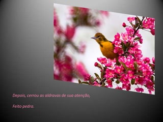 Depois, cerrou as aldravas de sua atenção,

Feito pedra.
 