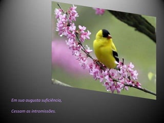 Em sua augusta suficiência,

Cessam as intromissões.
 