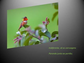 Indiferente, vê as carruagens

Parando junto ao portão;
 