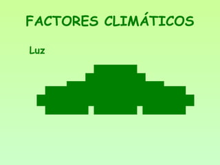 FACTORES CLIMÁTICOS
Q u a l i d a d e o u c o r I n t e n s i d a d e F o t o p e r í o d o
L u z
Luz
 