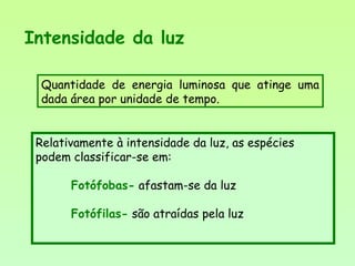 Quantidade de energia luminosa que atinge uma
dada área por unidade de tempo.
Intensidade da luz
Relativamente à intensidade da luz, as espécies
podem classificar-se em:
Fotófobas- afastam-se da luz
Fotófilas- são atraídas pela luz
 