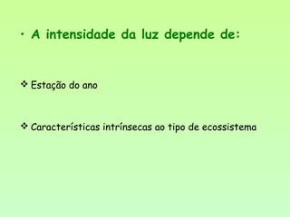 • A intensidade da luz depende de:
 Estação do ano
 Características intrínsecas ao tipo de ecossistema
 