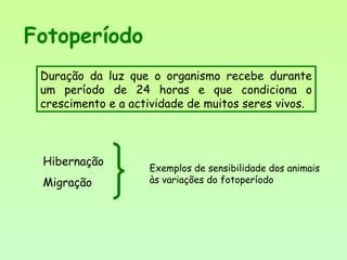 Fotoperíodo
Duração da luz que o organismo recebe durante
um período de 24 horas e que condiciona o
crescimento e a actividade de muitos seres vivos.
Hibernação
Migração
Exemplos de sensibilidade dos animais
às variações do fotoperíodo
 