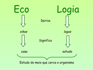Eco Logia
Deriva
oikos logos
casa estudo
Significa
Estudo do meio que cerca o organismo
 