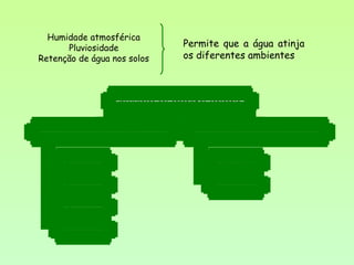H i d r ó f i l o s
H i g r ó f i l o s
M e s ó f i l o s
X e r ó f i l o s
N e c e s s i d a d e s e m á g u a
E s t e n o - h í d r i c o s
E u r i - h í d r i c o s
N e c e s s i d a d e s e m á g u a e l i m i t e s d e t o l e r â n c i a
C l a s s if i c a ç ã o d o s o r g a n is m o s c o n s o a n t e :
Humidade atmosférica
Pluviosidade
Retenção de água nos solos
Permite que a água atinja
os diferentes ambientes
 