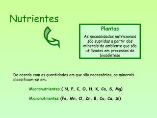 Nutrientes
Plantas
As necessidades nutricionais
são supridas a partir dos
minerais do ambiente que são
utilizados em processos de
biossíntese
De acordo com as quantidades em que são necessários, os minerais
classificam-se em:
Macronutrientes ( N, P, C, O, H, K, Ca, S, Mg)
Micronutrientes (Fe, Mn, Cl, Zn, B, Co, Cu, Si)
 
