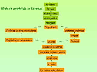 Ecosfera
Biomas
Ecossistemas
Comunidades
População
Organismos
Colónias de org. unicelulares Sistemas orgânicos
Organismos unicelulares
Órgãos
TecidosCélulas
Organitos celulares
Complexos biomoleculares
Moléculas
Átomos
Partículas subatómicas
Níveis de organização na Natureza
 