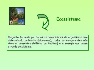 Conjunto formado por todas as comunidades de organismos num
determinado ambiente (biocenose), todos os componentes não
vivos aí presentes (biótopo ou habitat) e a energia que passa
através do sistema.
Ecossistema
 