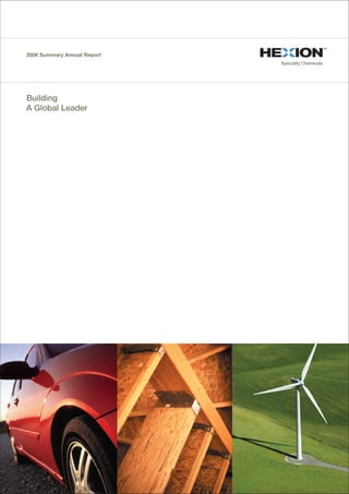 Hexion2006SummaryAnnualReport