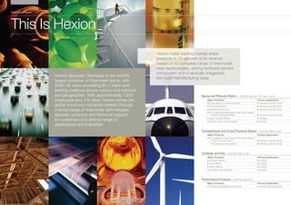 Hexion2006SummaryAnnualReport