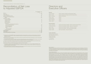 Hexion2006SummaryAnnualReport