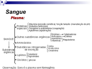 Sangue
Plasma:Plasma:
 