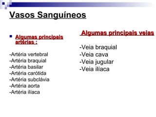 Vasos Sanguíneos
 Algumas principaisAlgumas principais
artérias :artérias :
-Artéria vertebral
-Artéria braquial
-Artéria basilar
-Artéria carótida
-Artéria subclávia
-Artéria aorta
-Artéria ilíaca
Algumas principais veiasAlgumas principais veias
-Veia braquial
-Veia cava
-Veia jugular
-Veia ilíaca
 