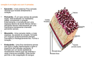 coração é um órgão oco com 4 camadas:
• Epicárdio - (mais externa) Fina camada
visceral que reveste diretamente o
coração.
• Pericárdio - É um saco seroso de parede
dupla, está localizado no mediastino
médio, envolvendo o coração.
Externamente, é constituído por uma
espessa lâmina de tecido fibroso denso -
pericárdio fibroso.Internamente por uma
membrana transparente chamada
pericárdio seroso;
•
• Miocárdio - Uma camada média, e mais
espessa, da parede do coração, formada
por músculo anatomicamente estriado
(vermelho) e fisiologicamente liso. Forma o
coração;
• Endocárdio - Uma fina membrana serosa
que forra o órgão interiormente e cobre a
superfície das válvulas cardíacas. É
formado por um tecido epitelial de
revestimento interno que nas artérias e
veias chama-se endotélio. Esse tecido
permite a não coagulação do sangue.
 