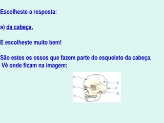 Escolheste a resposta:
a) da cabeça.
E escolheste muito bem!
São estes os ossos que fazem parte do esqueleto da cabeça.
Vê onde ficam na imagem:
 