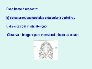Escolheste a resposta:
b) do esterno, das costelas e da coluna vertebral.
 
Estiveste com muita atenção.
Observa a imagem para veres onde ficam os ossos:
 