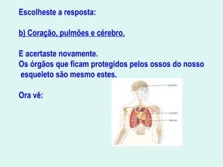 Escolheste a resposta:
b) Coração, pulmões e cérebro.
E acertaste novamente.
Os órgãos que ficam protegidos pelos ossos do nosso
esqueleto são mesmo estes.
Ora vê:
 