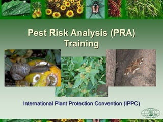 CFIA-ACIA
Pest Risk Analysis (PRA)
Training
International Plant Protection Convention (IPPC)
CFIA-ACIA
 