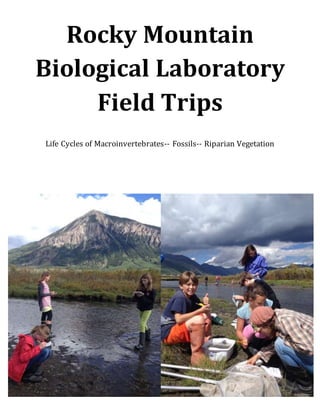 Rocky Mountain
Biological Laboratory
Field Trips
Life Cycles of Macroinvertebrates-- Fossils-- Riparian Vegetation
 