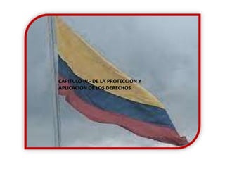 CAPITULO IV - DE LA PROTECCION Y APLICACION DE LOS DERECHOS