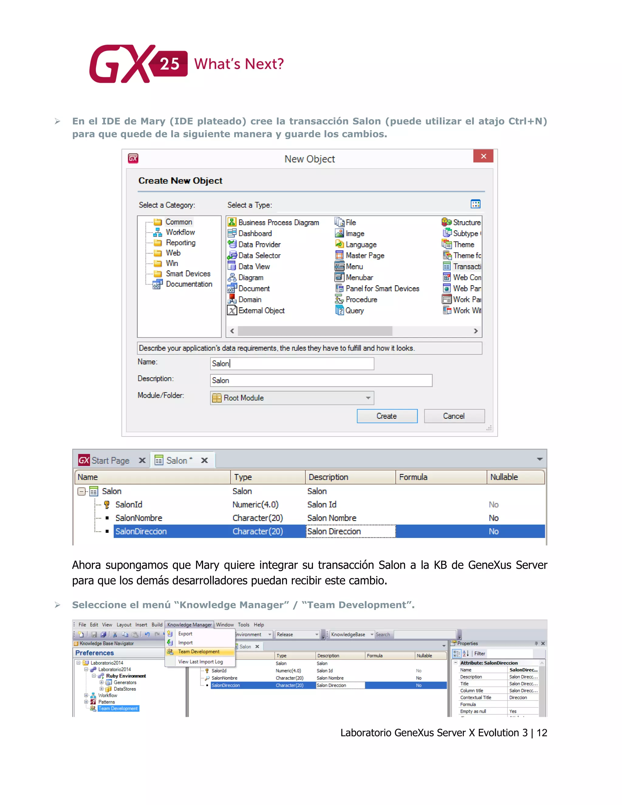 Laboratorio GeneXus Server X Evolution 3 | 12
 En el IDE de Mary (IDE plateado) cree la transacción Salon (puede utilizar el atajo Ctrl+N)
para que quede de la siguiente manera y guarde los cambios.
Ahora supongamos que Mary quiere integrar su transacción Salon a la KB de GeneXus Server
para que los demás desarrolladores puedan recibir este cambio.
 Seleccione el menú “Knowledge Manager” / “Team Development”.
 
