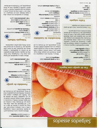 119receitasdesalgadinho