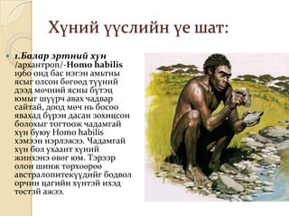 Хүний үүслийн үе шат:
   1.Балар эртний хүн
    /архантроп/-Homo habilis
    1960 онд бас нэгэн амьтны
    ясыг олсон бөгөөд түүний
    дээд мөчний ясны бүтэц
    юмыг шүүрч авах чадвар
    сайтай, доод мөч нь босоо
    явахад бүрэн дасан зохицсон
    болохыг тогтоож чадамгай
    хүн буюу Homo habilis
    хэмээн нэрлэжээ. Чадамгай
    хүн бол ухаант хүний
    жинхэнэ өвөг юм. Тэрээр
    олон шинж төрхөөрөө
    австралопитекүүдийг бодвол
    орчин цагийн хүнтэй ихэд
    төстэй ажээ.
 